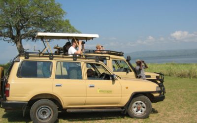 Uganda Tour companies under pressure